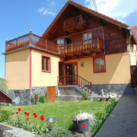Pensiunea Neba Bran  Bagian luar foto